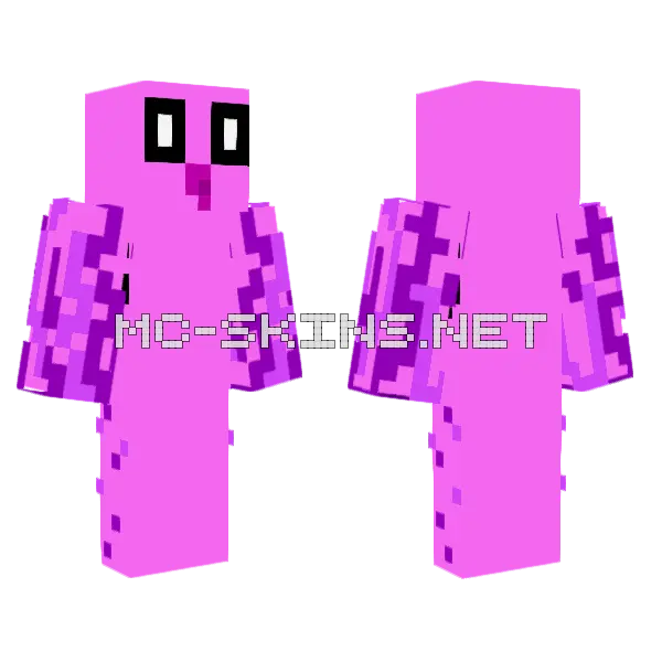 Binkus Mc Minecraft skin, front and back