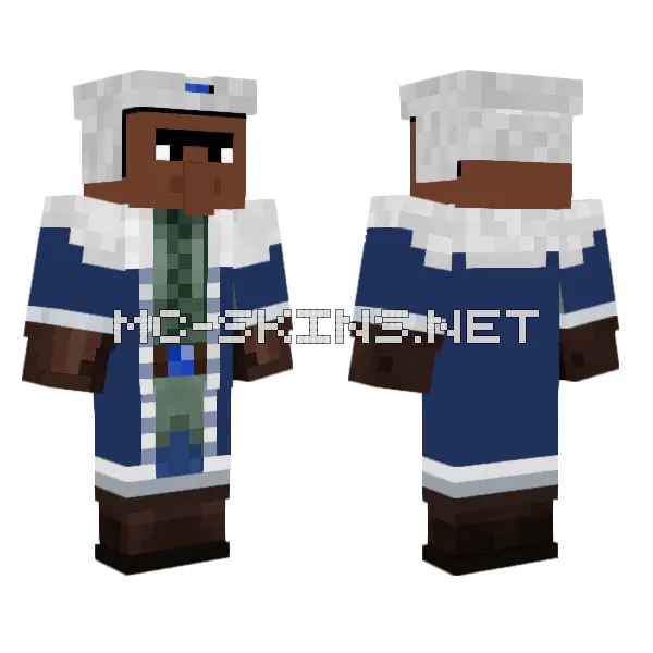 Biome Settler Tundra Villager Minecraft skin, front and back