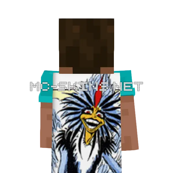 Bird-Brain cape, outside and lining