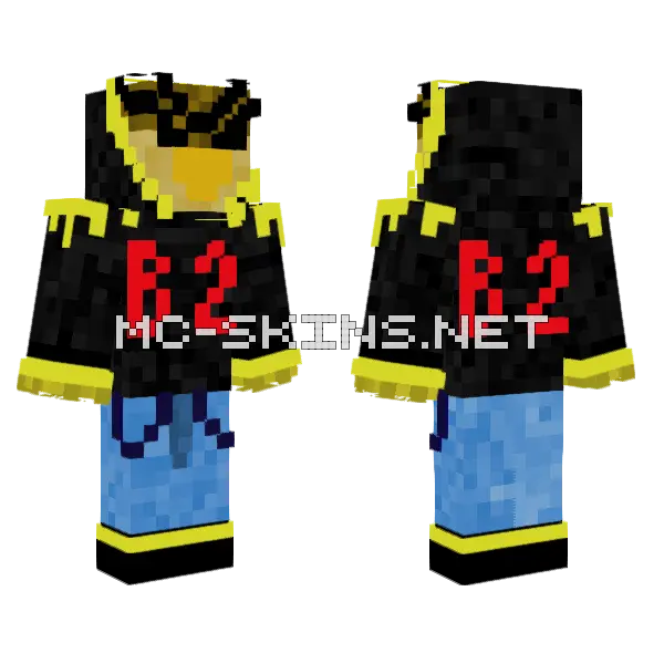 Black And Yellow Bird Minecraft skin, front and back