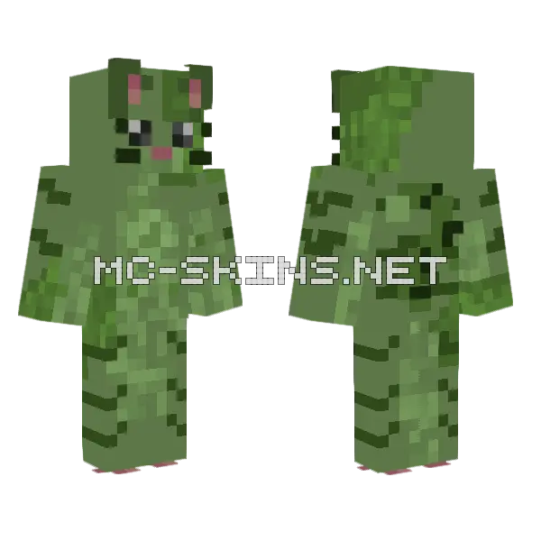 Blorbo Bleepus WIP Minecraft skin, front and back