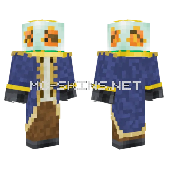 Blue Fish Pirate, front and back