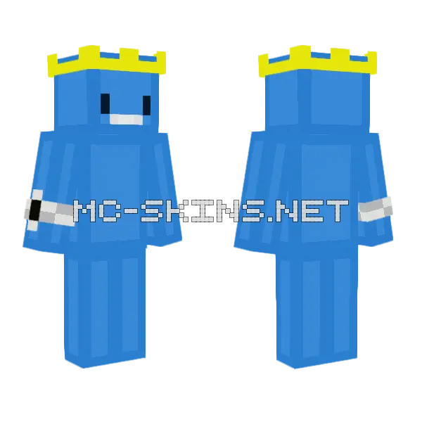 Blue Narwhal Skin Minecraft skin, front and back
