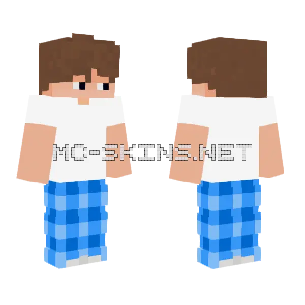 Blue Plaid Shirt, front and back