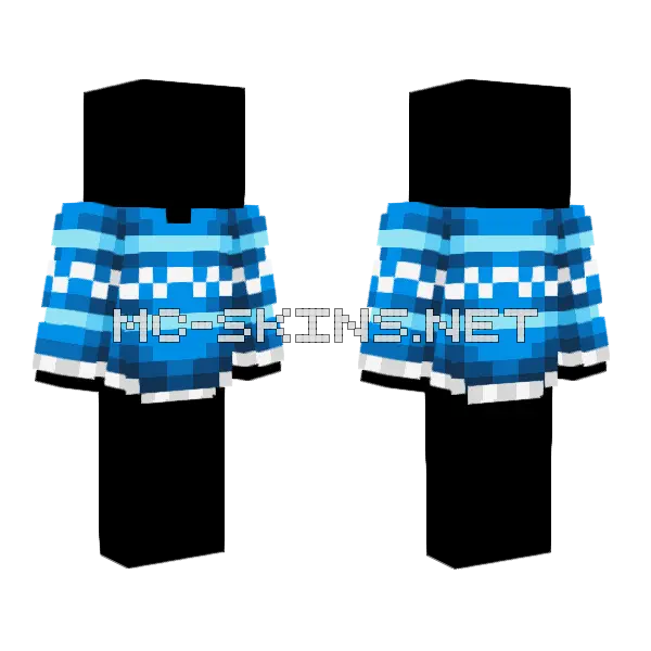 Blue Train Skin Minecraft skin, front and back