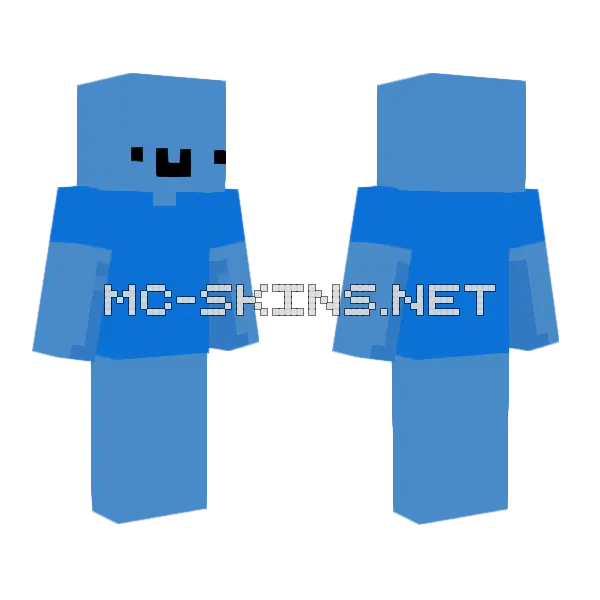 Bluew Minecraft skin, front and back