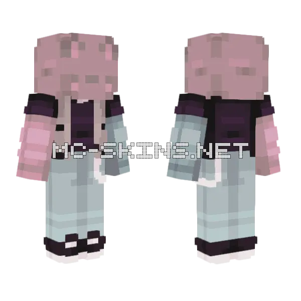 Boxed Inside Sfa64 Minecraft skin, front and back