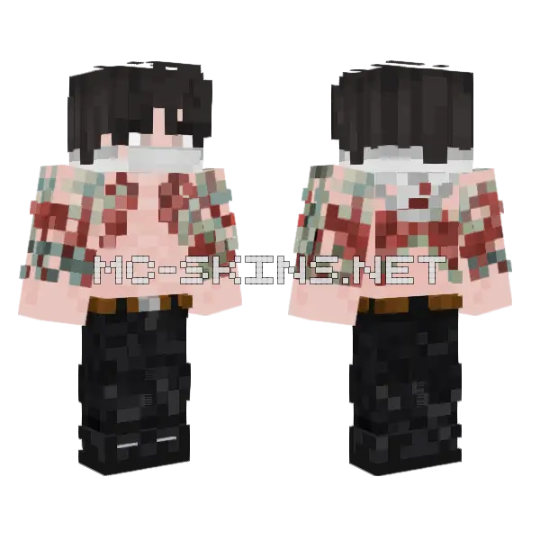Boy Minecraft skin, front and back