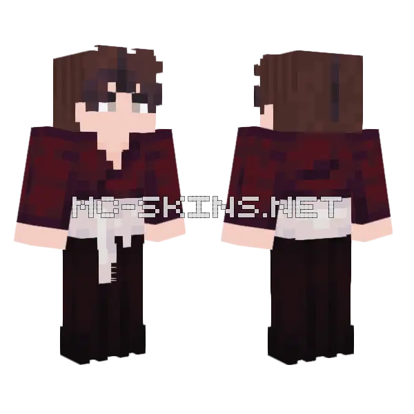 Boy Minecraft skin, front and back