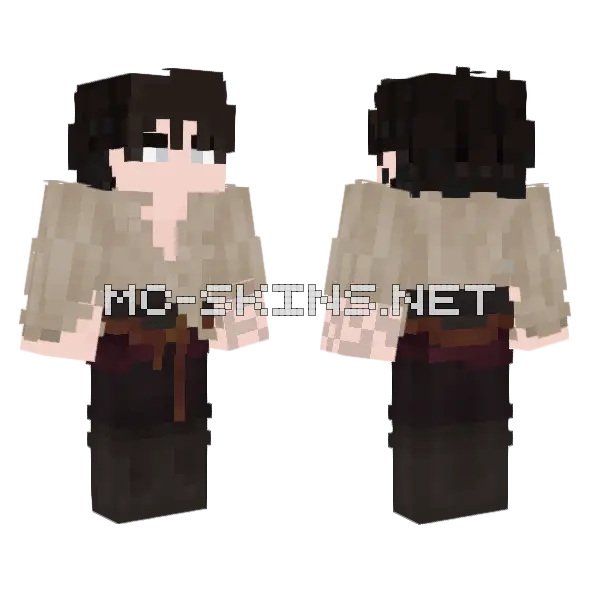 Boy Minecraft skin, front and back