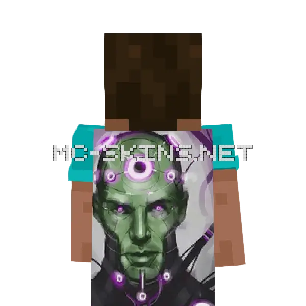 Brainiac cape, outside and lining