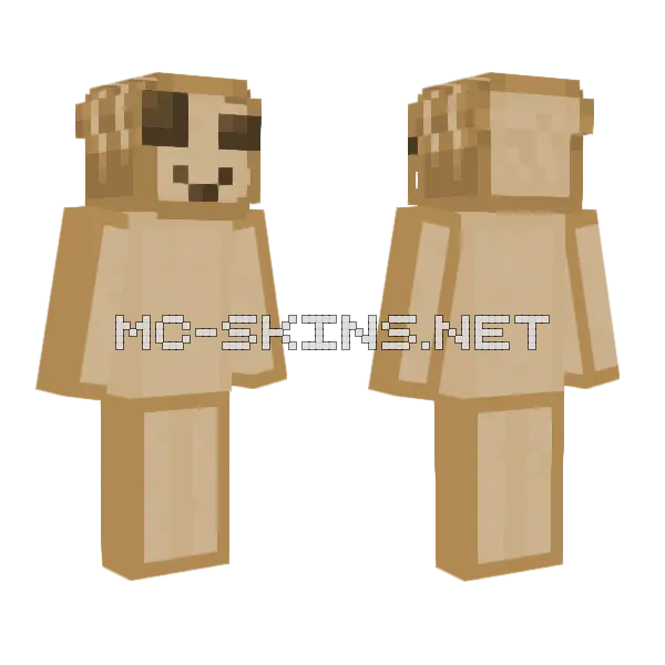 Breabd Boy Minecraft skin, front and back