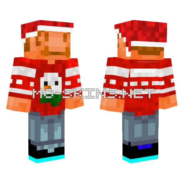 Bro Jake Mario Minecraft skin, front and back