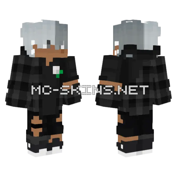Brown and Black Plaid Train Minecraft skin, front and back