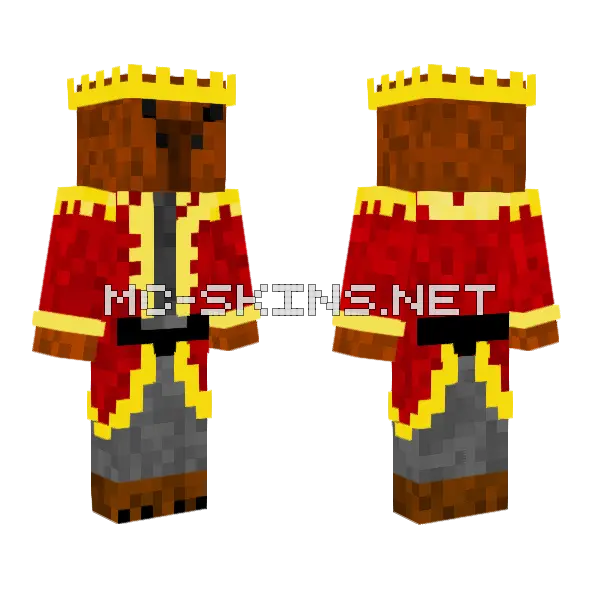 Brown Bear King, front and back