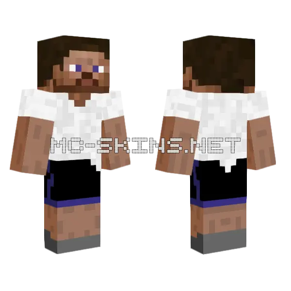 Brown Dog Costume Minecraft skin, front and back