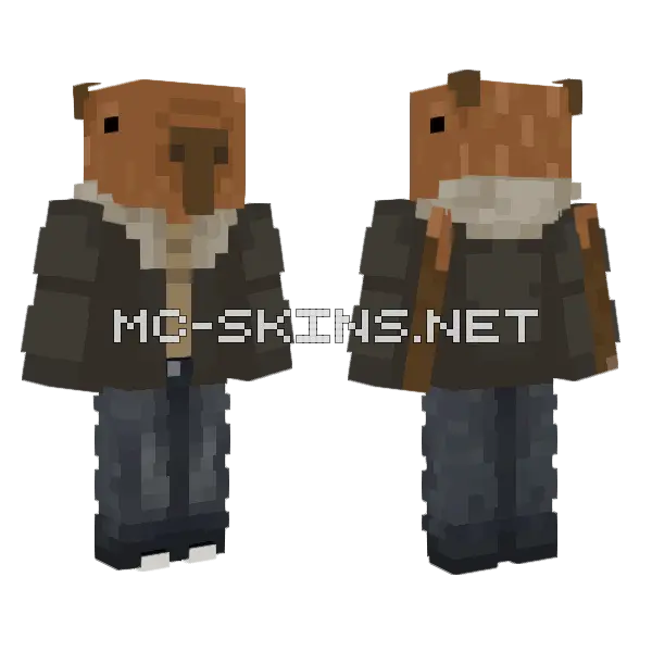 Brown Fox Explorer, front and back