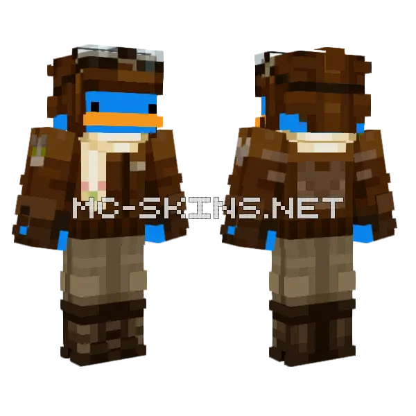 Brown Leather Aviator, front and back