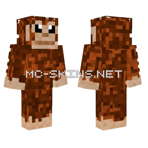 Brown Monkey Character, front and back