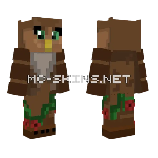 Brown Owl Costume, front and back