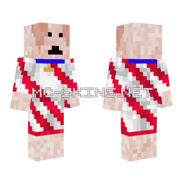 Brulee Minecraft skin, front and back