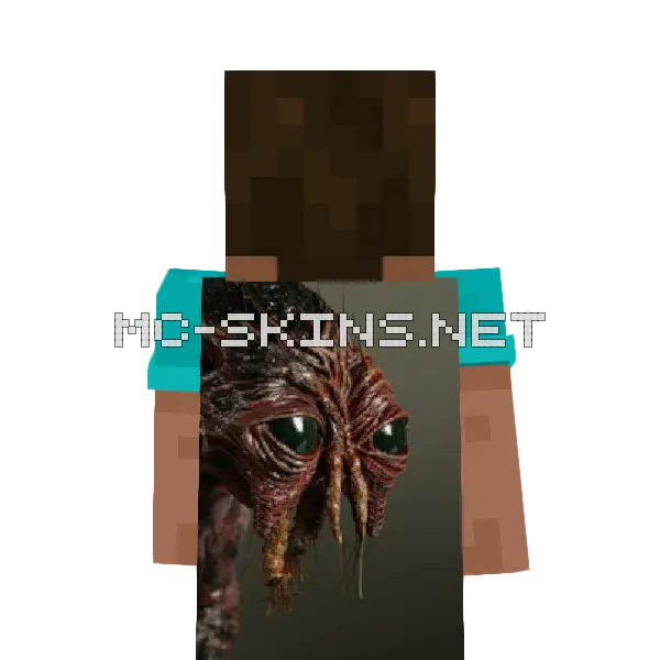 Brundlefly Minecraft cape worn on a player