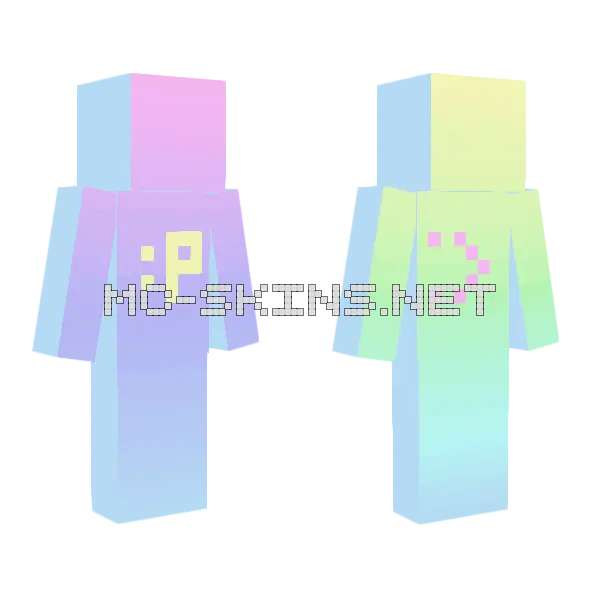Buddymeter Bcuz Why Noot Minecraft skin, front and back