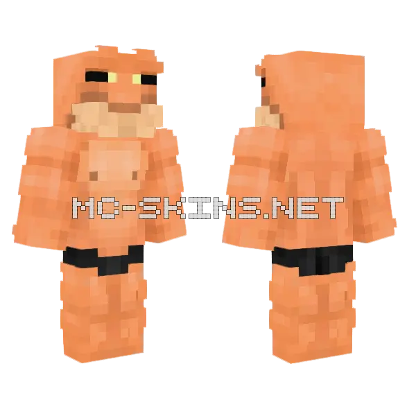 Buff Frog Minecraft skin, front and back