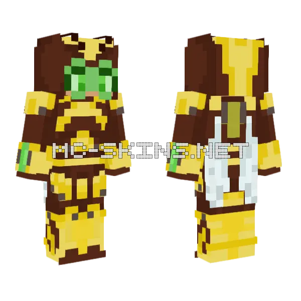 Bumblebee DC Minecraft skin, front and back