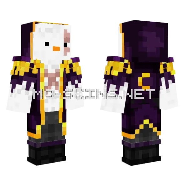 C Cube YT Minecraft skin, front and back