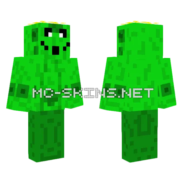 Cacnea Pokemon 331 Minecraft skin, front and back