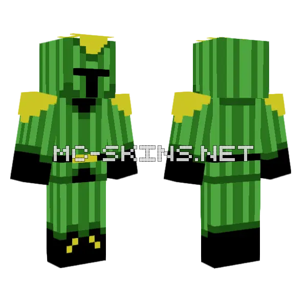 Cactus Knight Lego Minecraft skin, front and back
