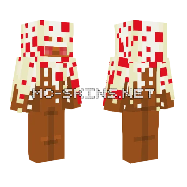 Caky Cake Minecraft skin, front and back