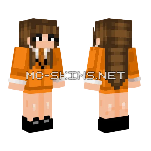 Captain Fox Ferm Minecraft skin, front and back