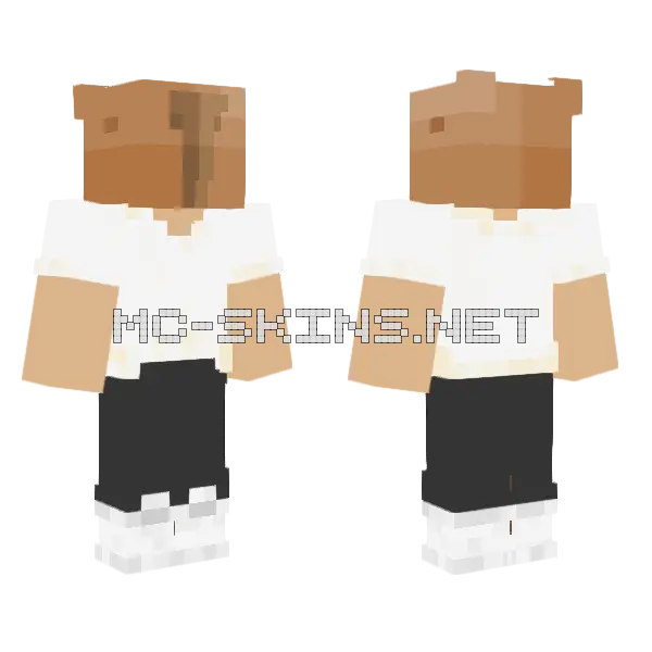 Capybara Minecraft skin, front and back