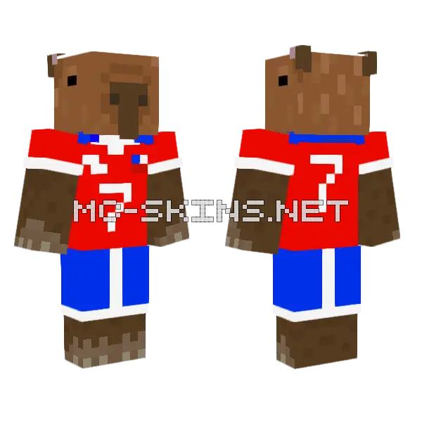 Capybara Chileno Minecraft skin, front and back