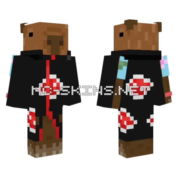 Capybara Minecraft skin, front and back