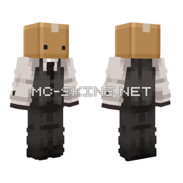 Cardboard Box Hat Minecraft skin, front and back