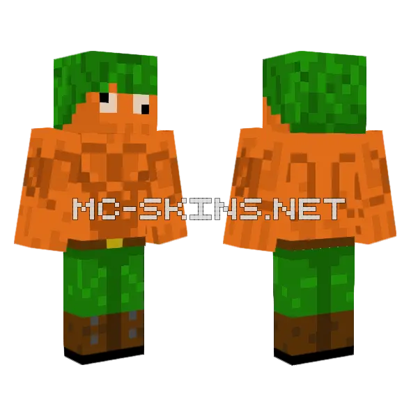 Carrot Bloke Minecraft skin, front and back