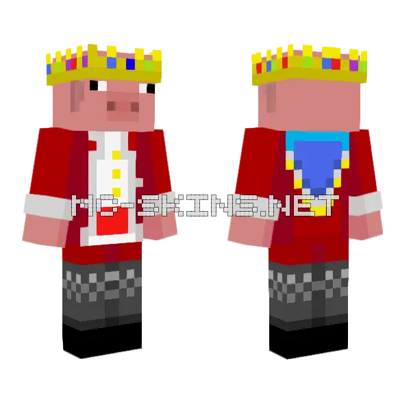 Cartoon Technoblade Minecraft skin, front and back