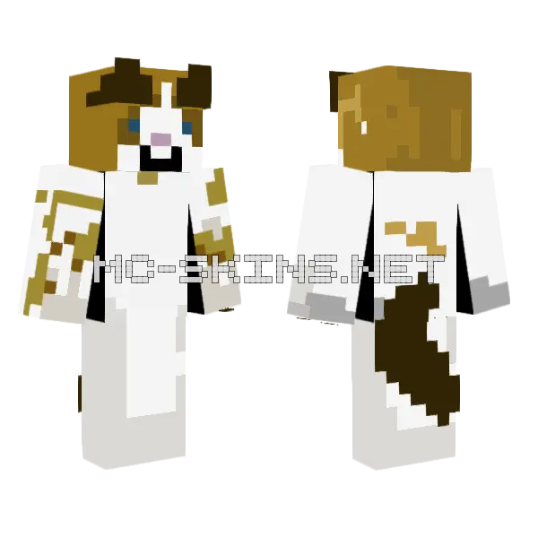 Cat Beppo Minecraft skin, front and back