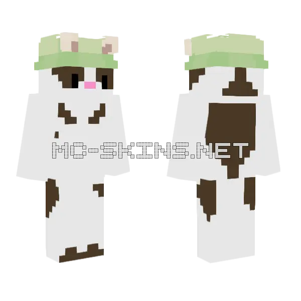 Cat Frog Skin Minecraft skin, front and back