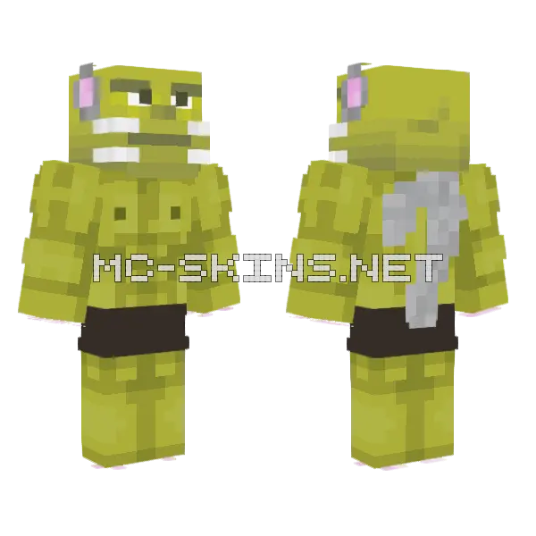 Cat Girl Shrek Minecraft skin, front and back