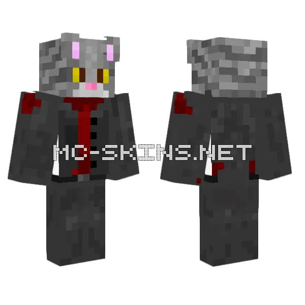 Catisgood Cat Skin Minecraft skin, front and back