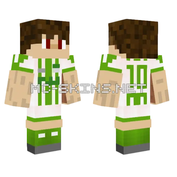 Ccar Minecraft skin, front and back