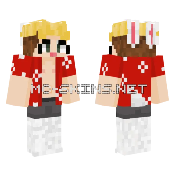 Cecil Remake Minecraft skin, front and back