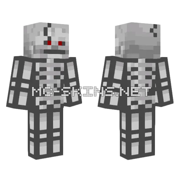 Chanoskeleton Minecraft skin, front and back