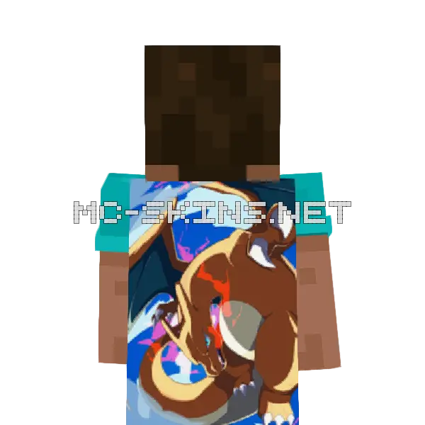 Charizard Flying cape, outside and lining