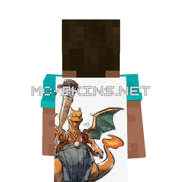 Charizard Kimono cape, outside and lining