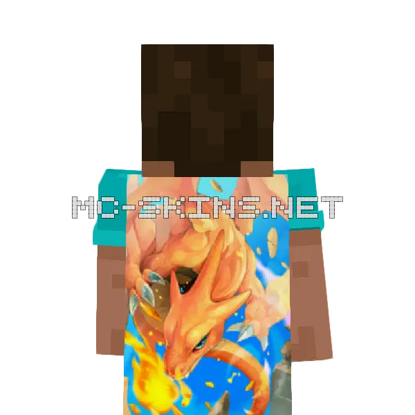 Charizard Mega cape, outside and lining